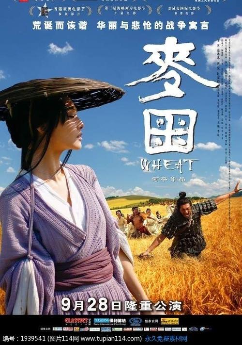 马龙学院市场开发文凭证书